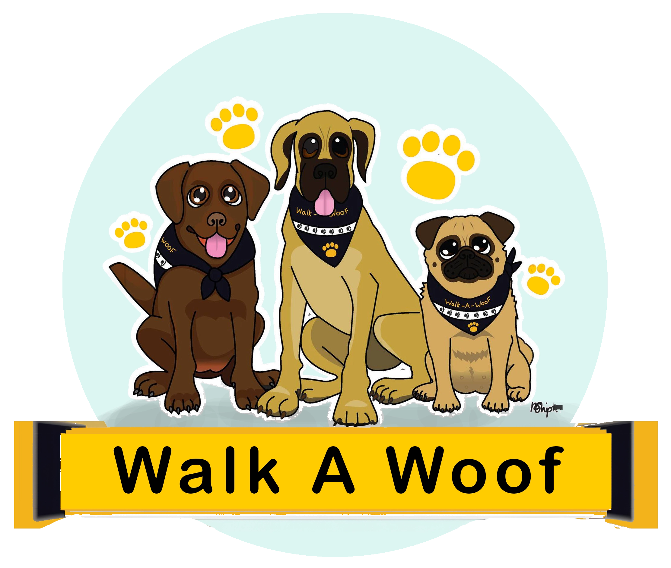 dog walking near crewe